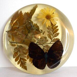 1970's Lucite Hot Plate Trivet Butterfly & Dried Plants Daisy Design Gifts